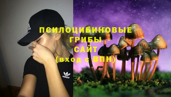 гидропоника Баксан