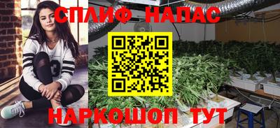 гашиш Славгород
