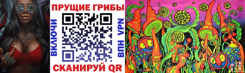 omg зеркало  Острогожск  Псилоцибиновые грибы GOLDEN TEACHER  цена наркотик 