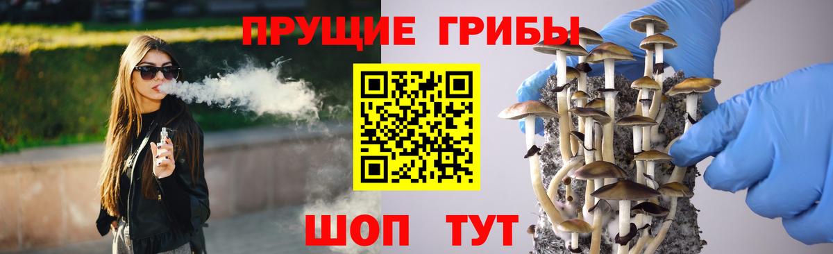 Острогожск  Псилоцибиновые грибы мицелий  Вход с VPN  Псилоцибиновые грибы Magic Shrooms 