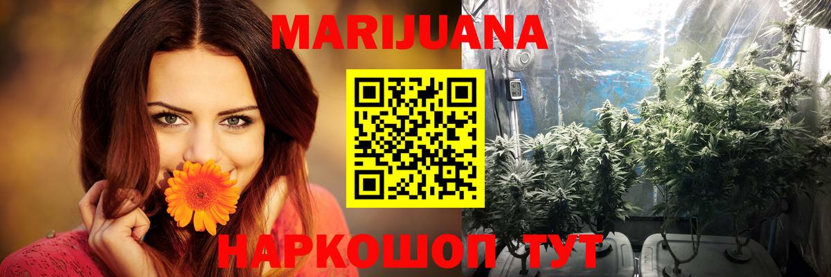 Канабис сатива Острогожск